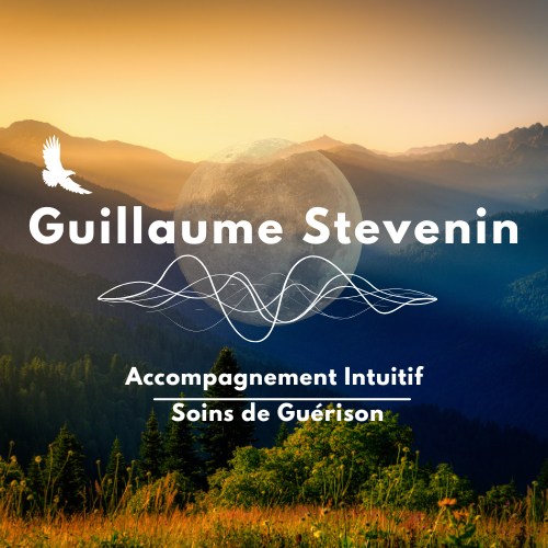 guillaumestevenin.ch